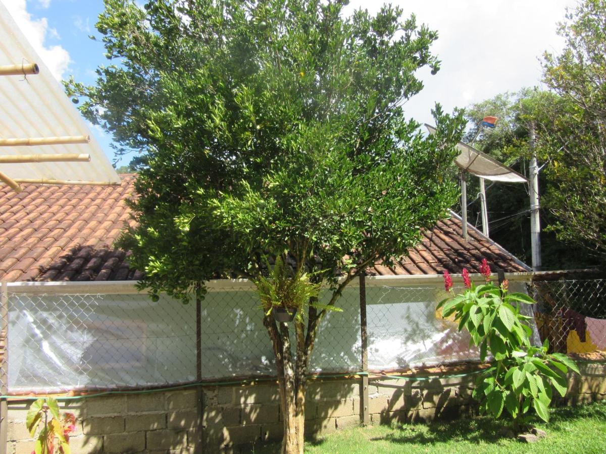 Kitnet Santo Antonio Villa Santo Antônio do Pinhal Екстериор снимка
